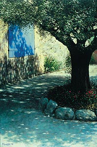 Deralte Olivenbaum