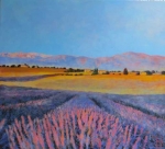 Uwe Herbst Lavendel in der Provence