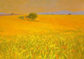 Haute Provence Kornfelder