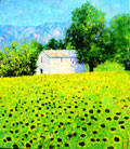 Haus mit Sonnenblumen